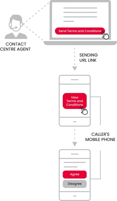 Terms and Conditions