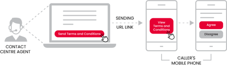 Terms and Conditions